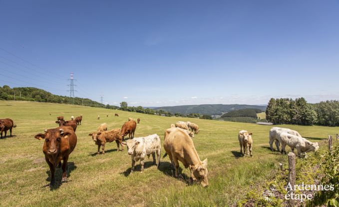 G�te insolite � Trois-Ponts pour 4 personnes en Ardenne