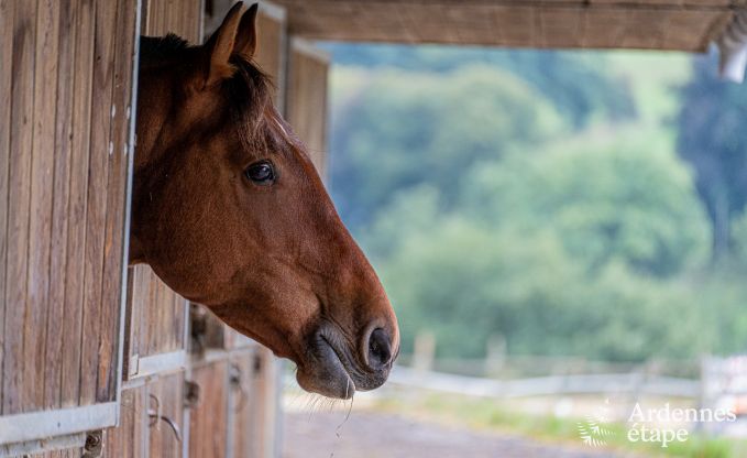 Maison de vacances � Trois-Ponts pour 2/4 personnes en Ardenne
