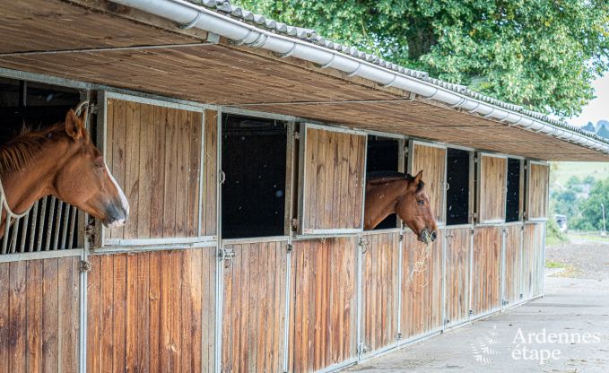 Maison de vacances � Trois-Ponts pour 2/4 personnes en Ardenne