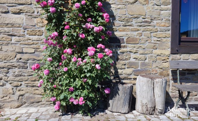 Maison de vacances  Trois-Ponts pour 8 personnes en Ardenne