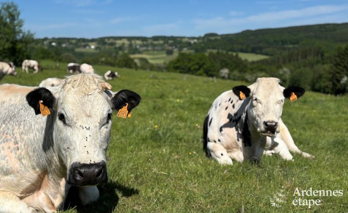 Ancienne grange rnove pour 10 personnes sur les Ctes de Wanne
