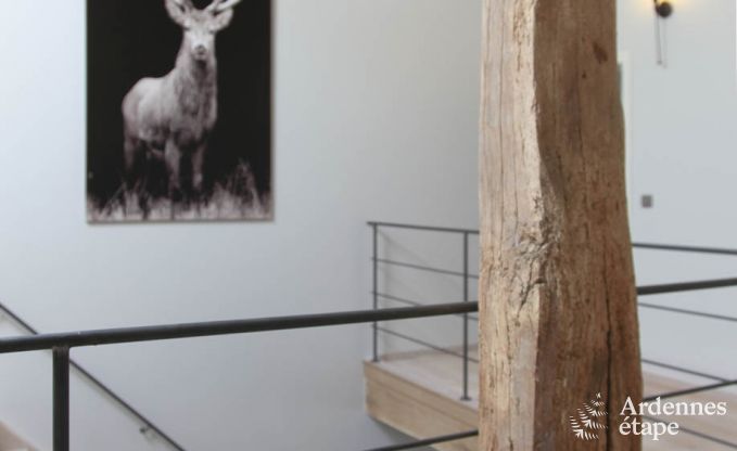 Maison de vacances  Trois-Ponts pour 8 personnes en Ardenne