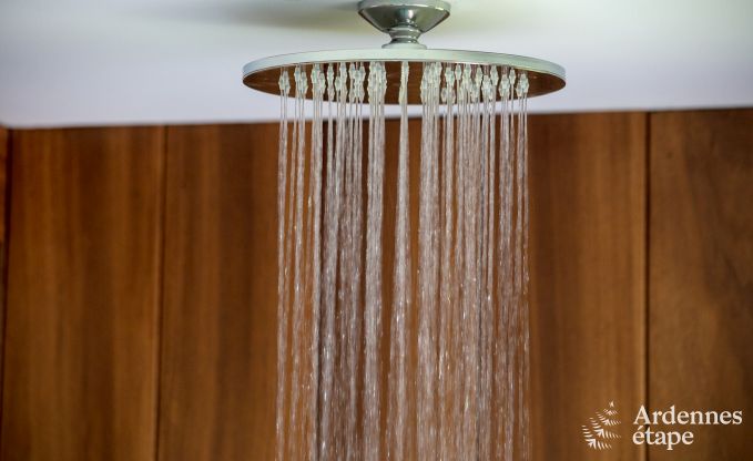 Maison de vacances  Trois-Ponts pour 10 personnes en Ardenne