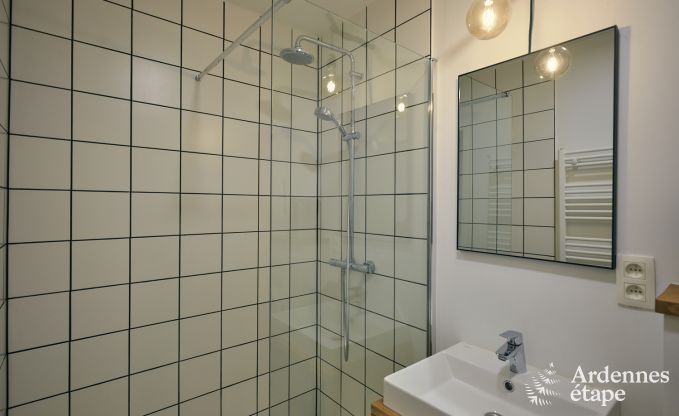 Spacieuse et luxueuse maison de vacances avec piscine � Trois-Ponts, Ardenne