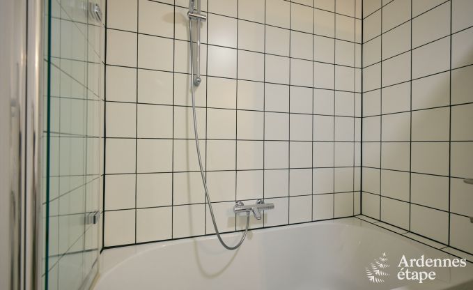 Spacieuse et luxueuse maison de vacances avec piscine � Trois-Ponts, Ardenne