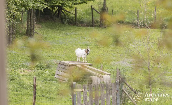 Maison de vacances  Vaux-Sur-Sure pour 28 personnes en Ardenne