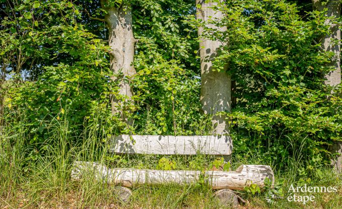 G�te insolite � Vaux-sur-Sure pour 2 personnes en Ardenne