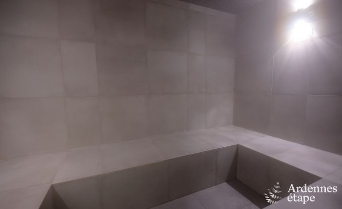 Gte exceptionnel avec superbe centre de wellness et piscine privs  Vaux-sur-Sre