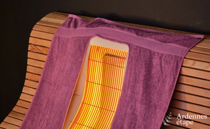 Gte exceptionnel avec superbe centre de wellness et piscine privs  Vaux-sur-Sre