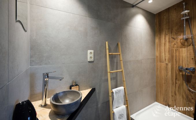 Gte exceptionnel avec superbe centre de wellness et piscine privs  Vaux-sur-Sre