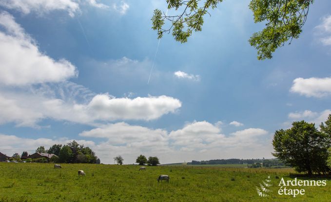 Villa de Luxe � Vaux-sur-S�re pour 6/9 personnes en Ardenne