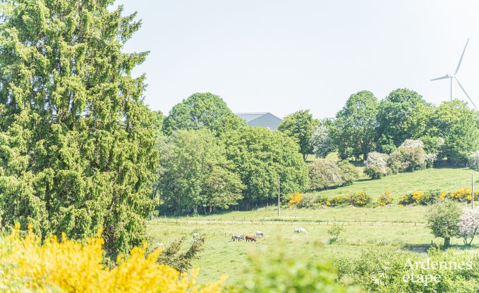 G�te insolite � Vaux-sur-Sure pour 2/4 personnes en Ardenne