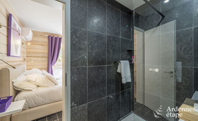 Villa de Luxe � Vaux-sur-s�re pour 12 personnes en Ardenne