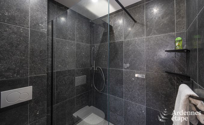 Villa de Luxe � Vaux-sur-s�re pour 12 personnes en Ardenne