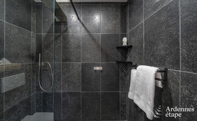 Villa de Luxe � Vaux-sur-s�re pour 12 personnes en Ardenne