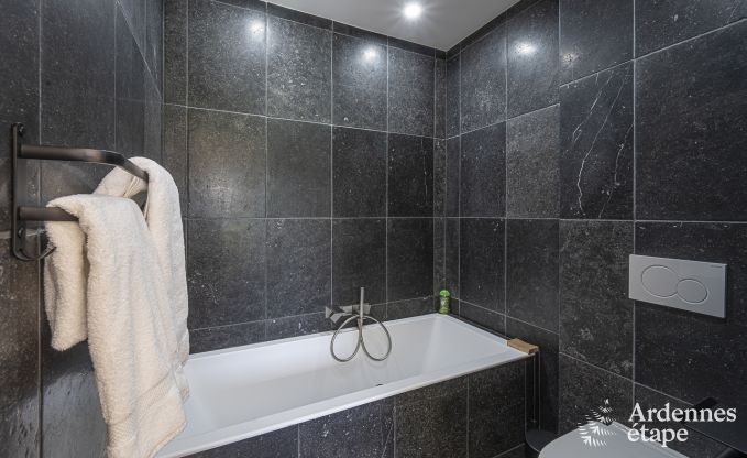 Villa de Luxe � Vaux-sur-s�re pour 12 personnes en Ardenne