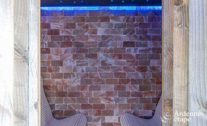 Villa de Luxe  Vaux-sur-sre pour 12 personnes en Ardenne