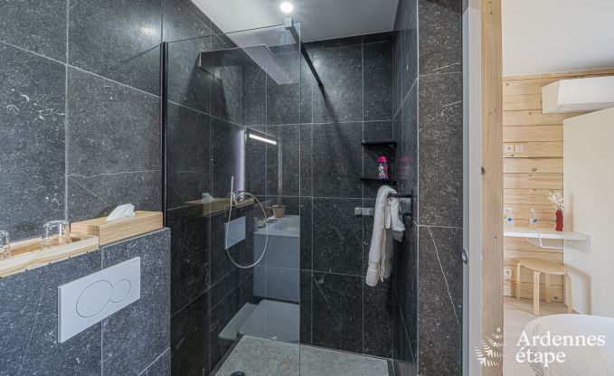 Villa de Luxe  Vaux-sur-sre pour 12 personnes en Ardenne