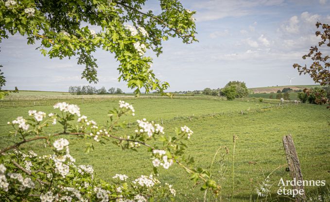 Villa de Luxe  Vaux-sur-sre pour 12 personnes en Ardenne