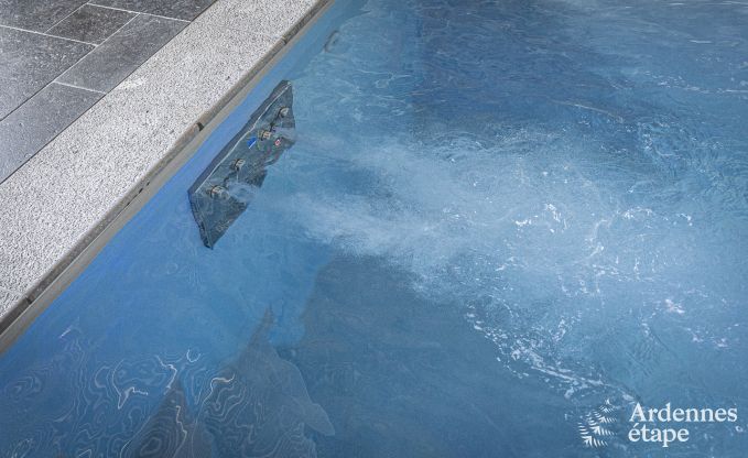 Villa de Luxe  Vaux-sur-sre pour 12 personnes en Ardenne