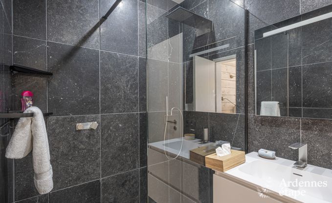 Villa de Luxe  Vaux-sur-sre pour 12 personnes en Ardenne