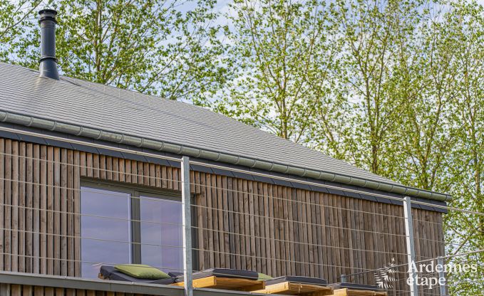 Villa de Luxe  Vaux-sur-sre pour 12 personnes en Ardenne