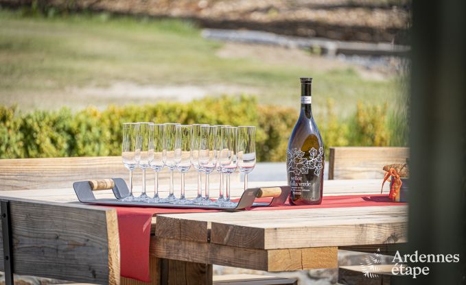 Villa de Luxe  Vaux-sur-sre pour 12 personnes en Ardenne