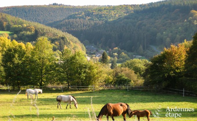 Chalet 5 personnes avec vue panoramique sur Vencimont