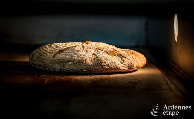 Maison de vacances  Vencimont pour 8 personnes en Ardenne
