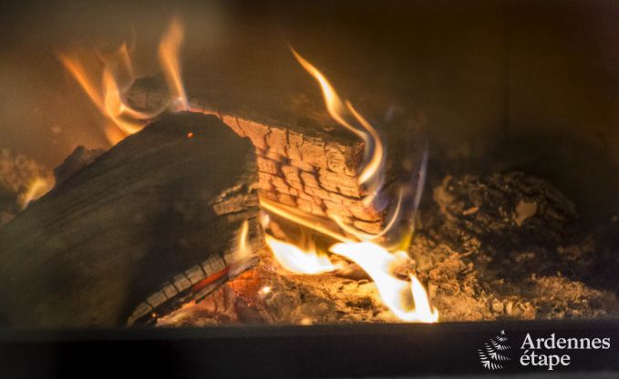 Maison de vacances � Vencimont pour 17 personnes en Ardenne