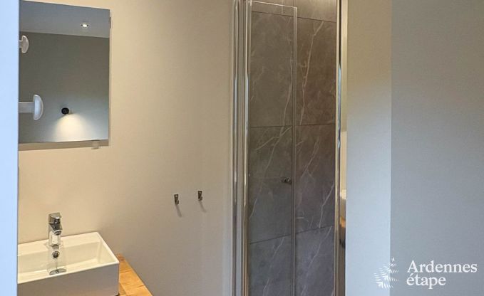 Grande maison de vacances pour 20 personnes � Vencimont avec 9 salles de bain, sauna, cabine infrarouge, salle de jeux et jardin priv� en Ardenne