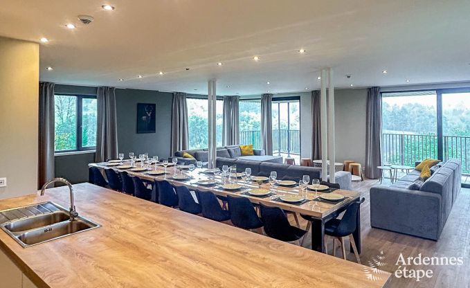 Grande maison de vacances pour 20 personnes � Vencimont avec 9 salles de bain, sauna, cabine infrarouge, salle de jeux et jardin priv� en Ardenne