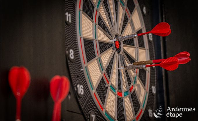 Maison de vacances � Vencimont, Ardenne, 12 personnes, 4 chambres, sauna privatif, billard, jardin au bord de l�eau