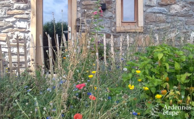 Gite de charme  Vielsalm (Ennal) pour 5 personnes en Ardenne
