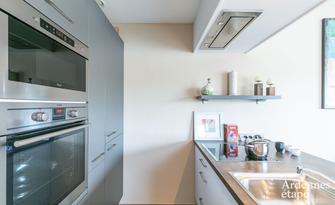 Appartement  Vielsalm pour 4 personnes en Ardenne