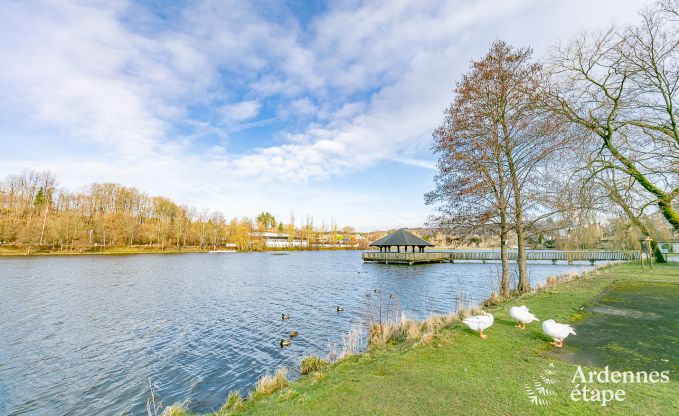Appartement  Vielsalm pour 4 personnes en Ardenne