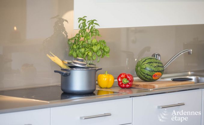 Appartement  Vielsalm pour 4 personnes en Ardenne