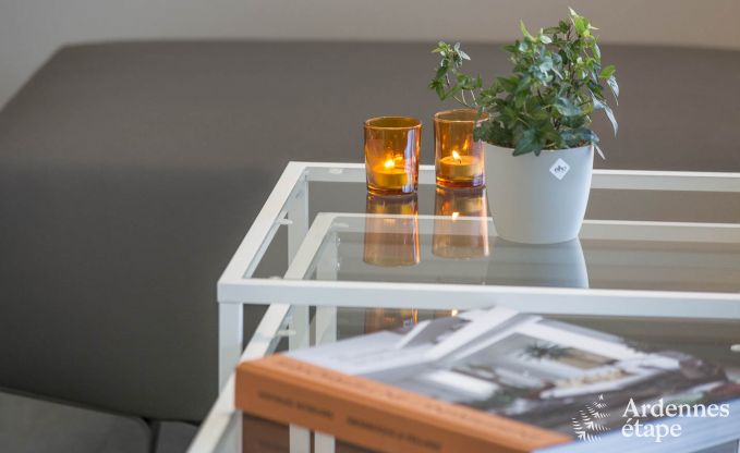 Appartement � Vielsalm pour 4 personnes en Ardenne