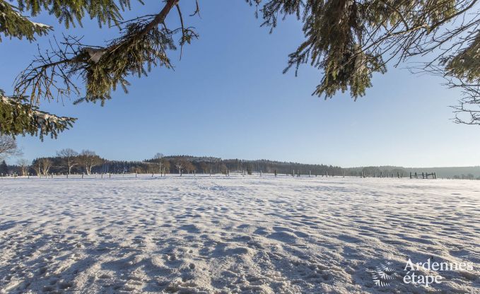 Chalet  Vielsalm pour 4/5 personnes en Ardenne