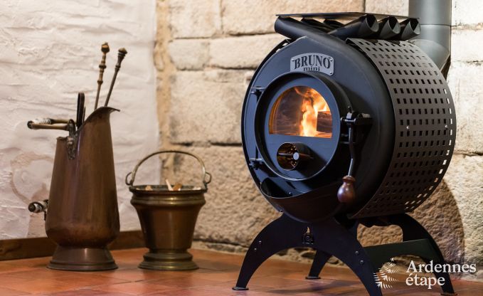 Gite de charme  Vielsalm pour 14 personnes en Ardenne