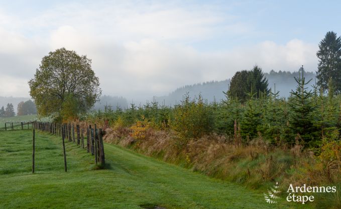 Maison de vacances � Vielsalm pour 4 personnes en Ardenne