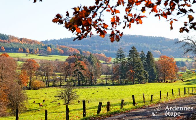 Maison de vacances � Vielsalm pour 13/14 personnes en Ardenne