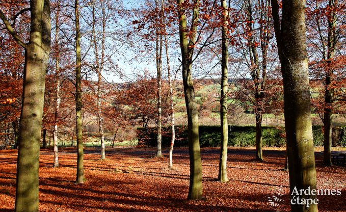 Maison de vacances � Vielsalm pour 13/14 personnes en Ardenne