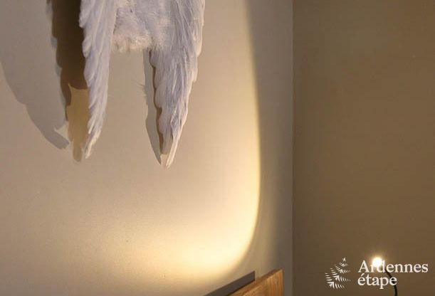 Maison de vacances � Vielsalm pour 3 personnes en Ardenne