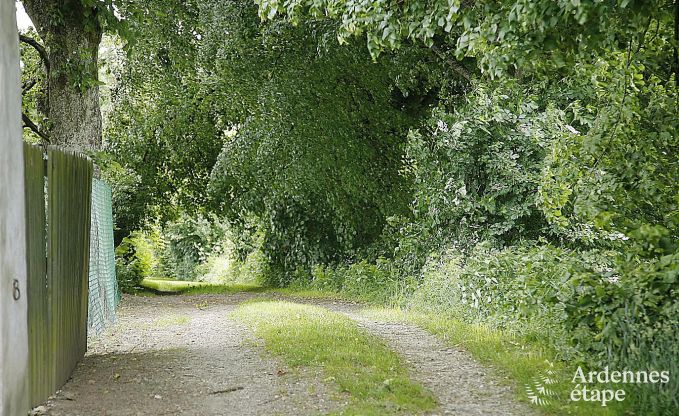 Maison de vacances  Vielsalm pour 27 personnes en Ardenne