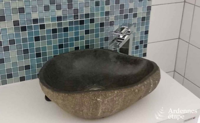 Maison de vacances  Vielsalm pour 27 personnes en Ardenne