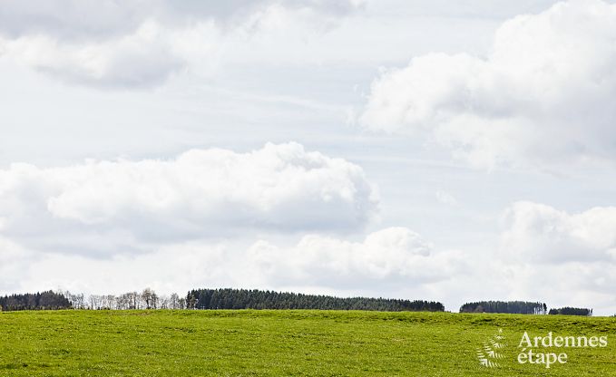 Maison de vacances  Vielsalm pour 27 personnes en Ardenne
