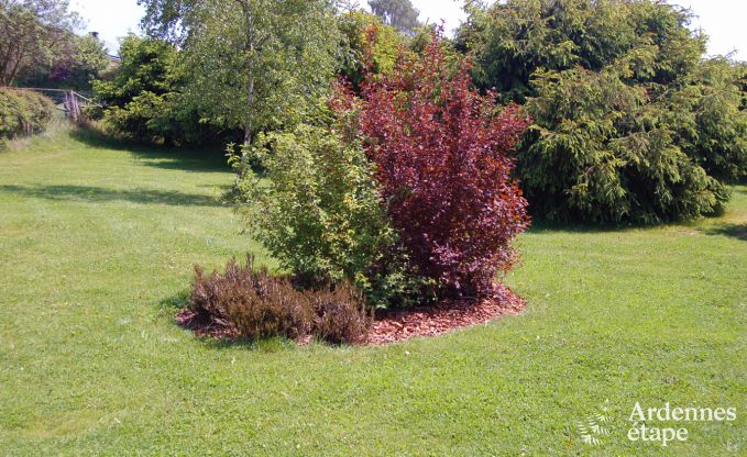 Grande maison de vacances pr�s de Vielsalm pour 21 personnes avec 7 chambres, 4 salles de bains, salle de jeux et jardin priv�