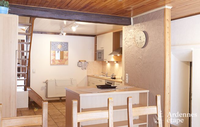 Grande maison de vacances pr�s de Vielsalm pour 21 personnes avec 7 chambres, 4 salles de bains, salle de jeux et jardin priv�