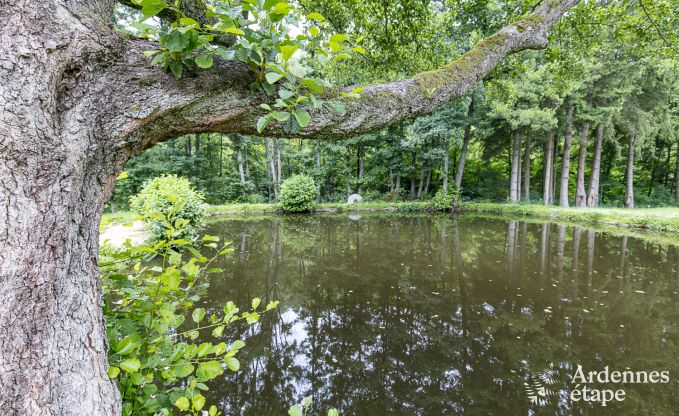 Maison de vacances  Vielsalm pour 30 personnes en Ardenne